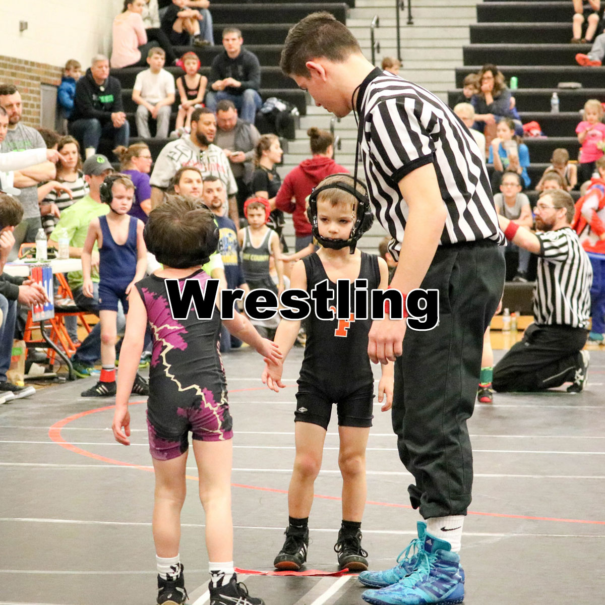 Wrestling